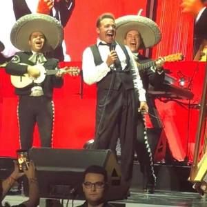 Meet your Posher, Elissa